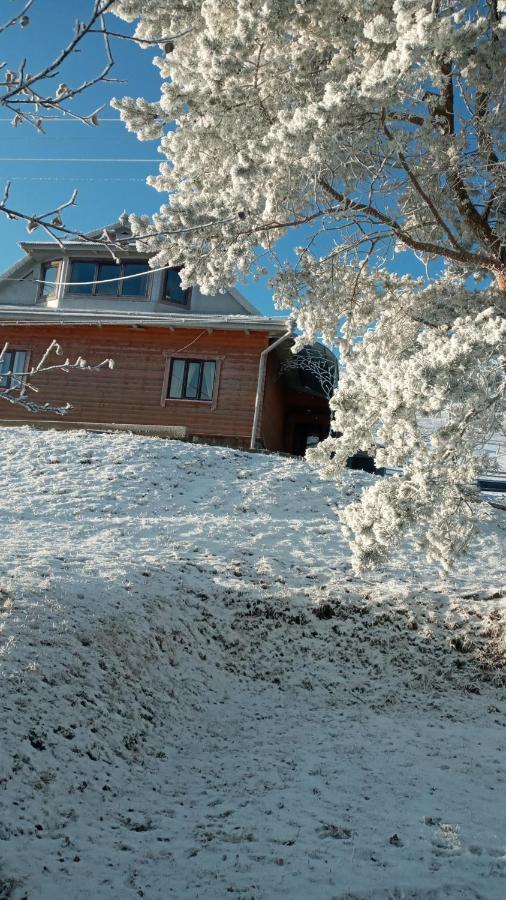 Gutsulska Oselya Villa Krivopol'ye Eksteriør billede
